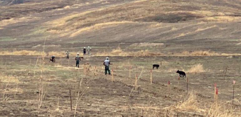 Azerbaycan İşgalden Kurtarılan Bölgelerde 8529 Mayını Etkisiz Hale Getirdi